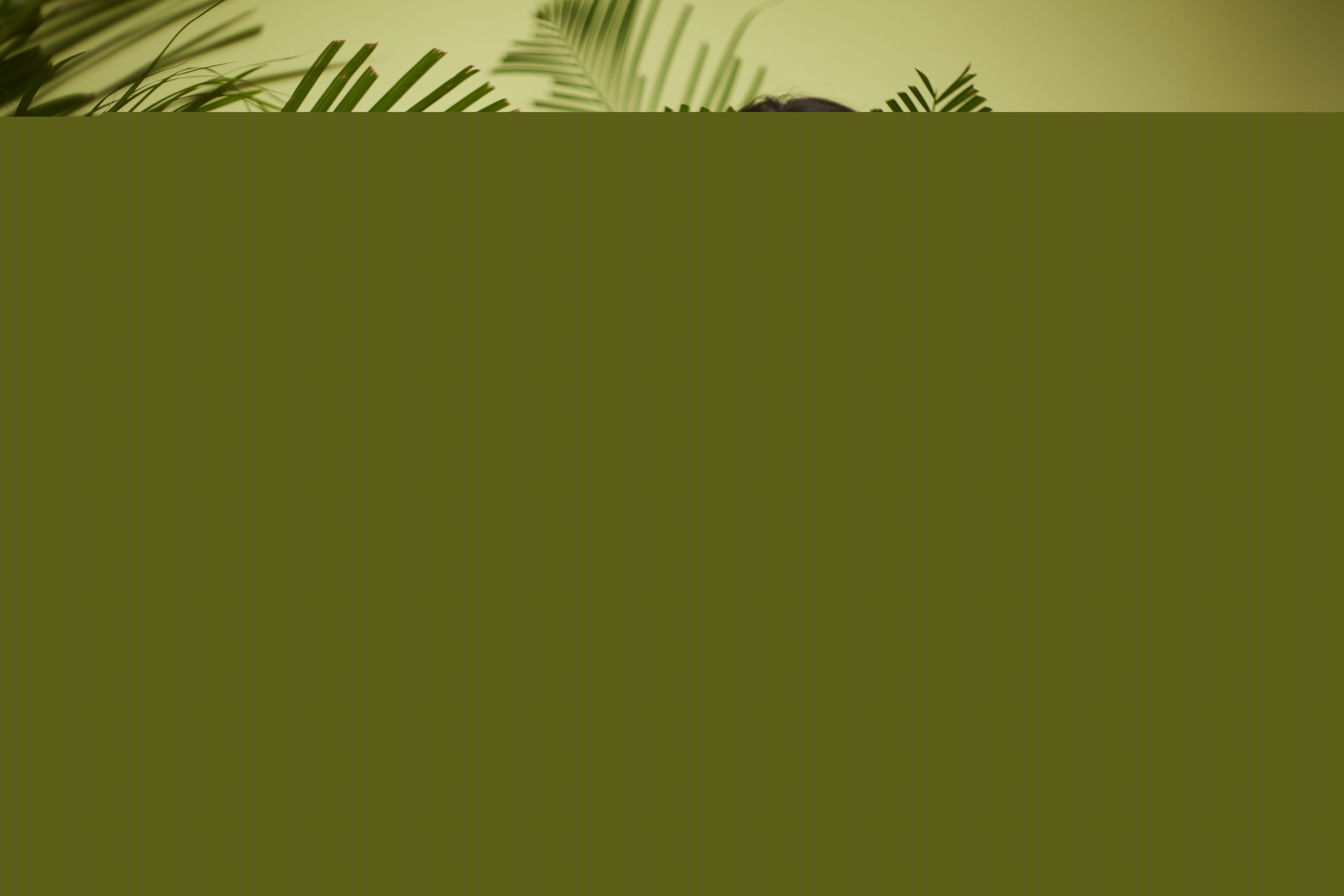 吴晴(Kate)【绿色大自然系列】壁纸壁纸