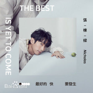最全张栋梁(Nicholas Teo)素颜照