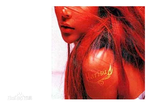 河莉秀(Harisu / )前后照片