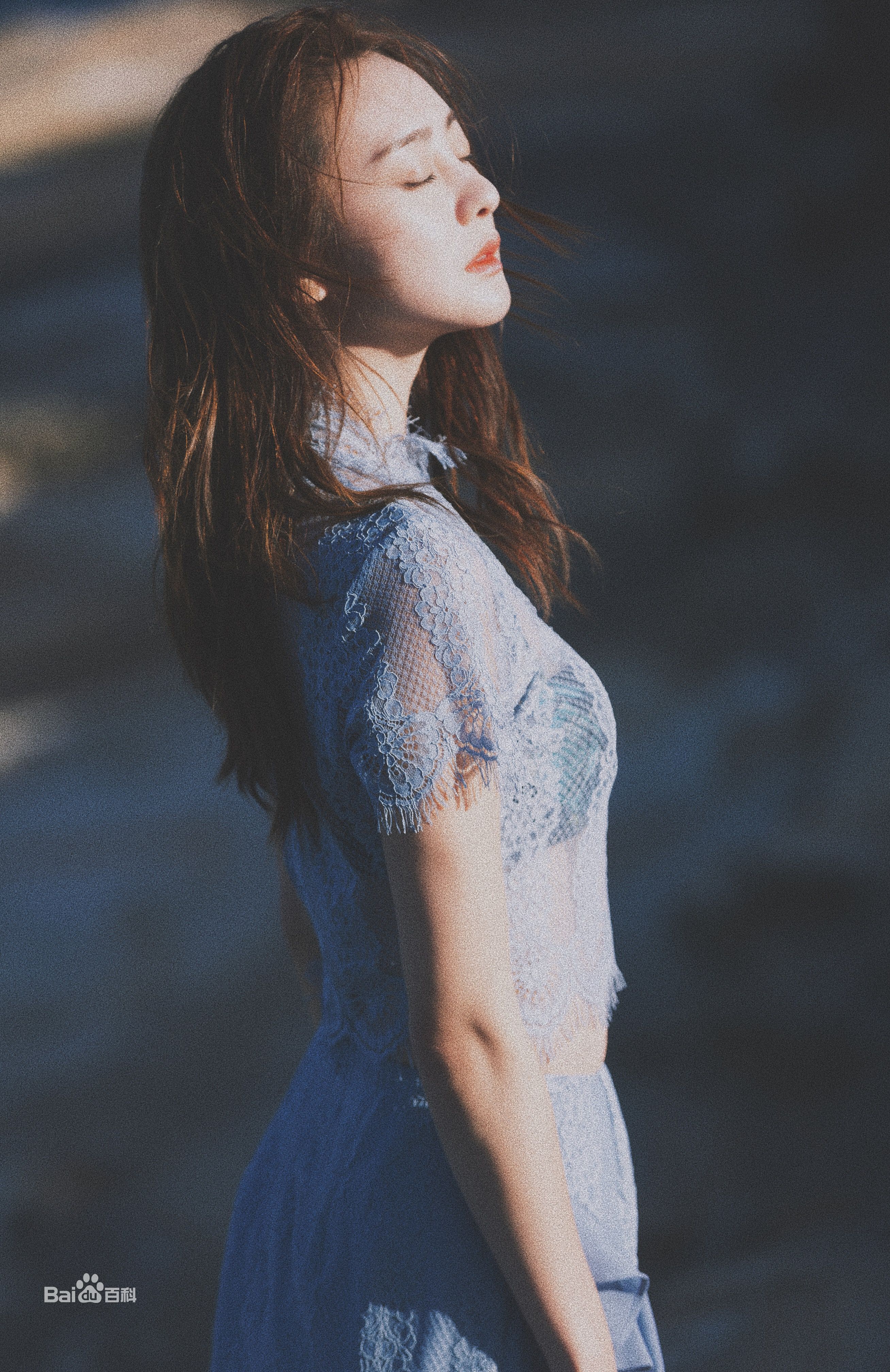 钱迪迪精选图册