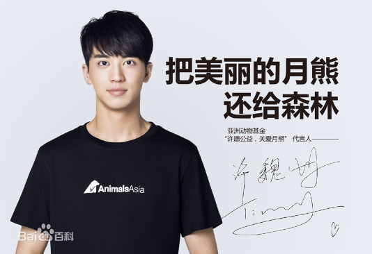 许魏洲(Timmy Xu、)公益图册