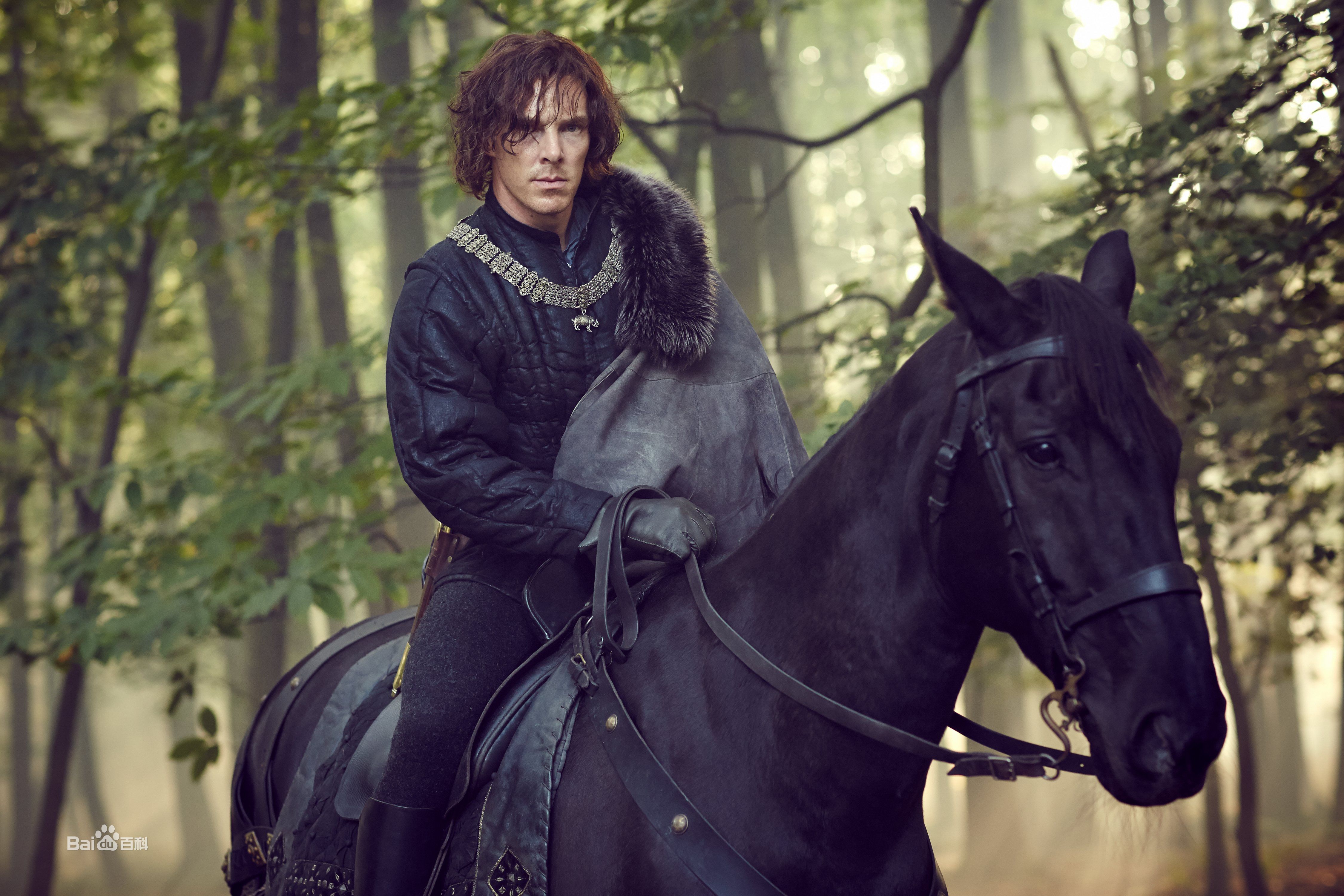 精选本尼迪克特·蒂莫西·卡尔顿·康伯巴奇(Benedict Timothy Carlton Cumberbatch)在《空王冠》亨利六世(下)中的图册