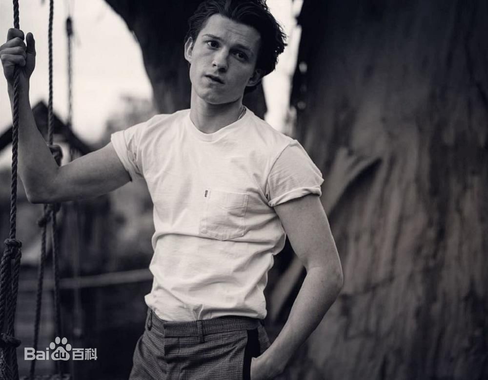 高清汤姆·赫兰德(Tom Holland、Thomas Stanley Holland)图片