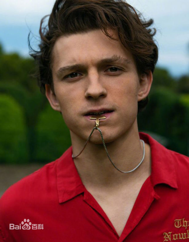 高清汤姆·赫兰德(Tom Holland、Thomas Stanley Holland)图片