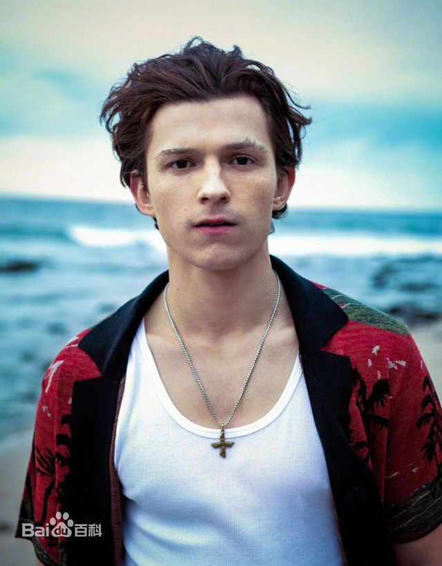 高清汤姆·赫兰德(Tom Holland、Thomas Stanley Holland)图片