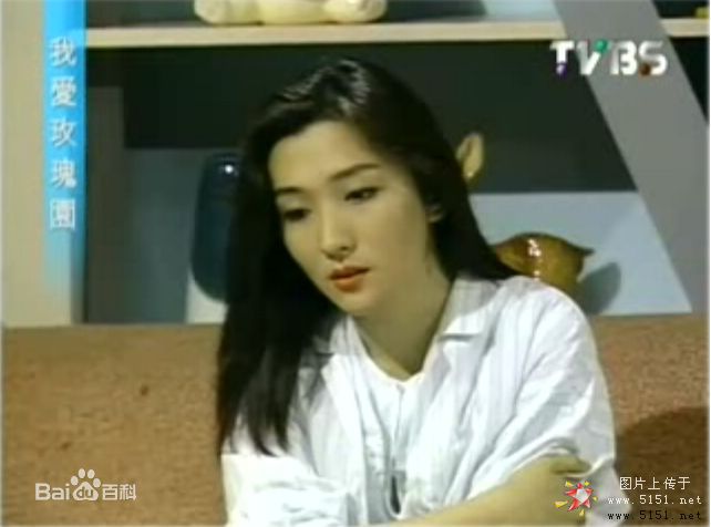 甄楚倩(Yolinda Yan)-我爱玫瑰园前后照片