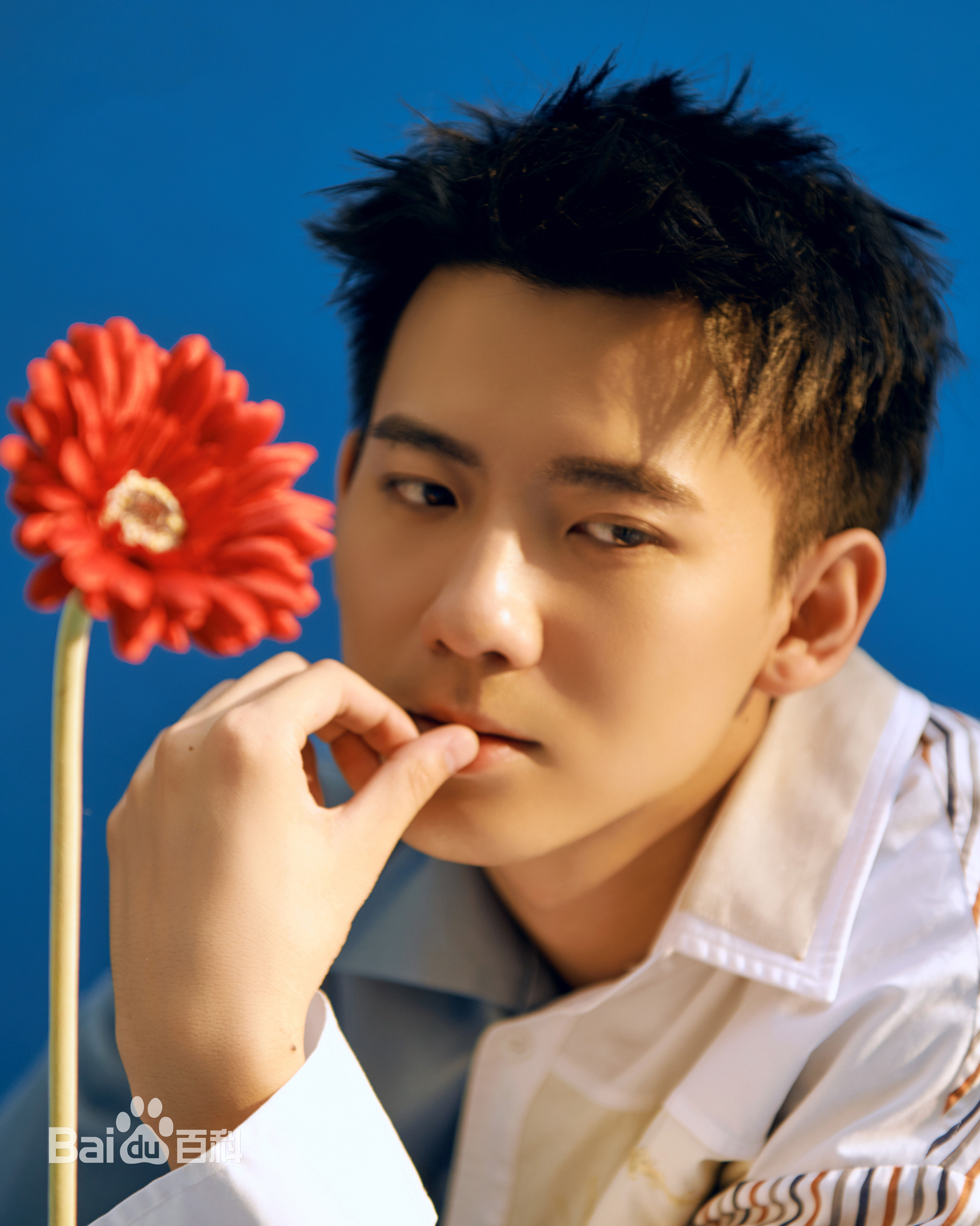 最新赵顺然性感图片