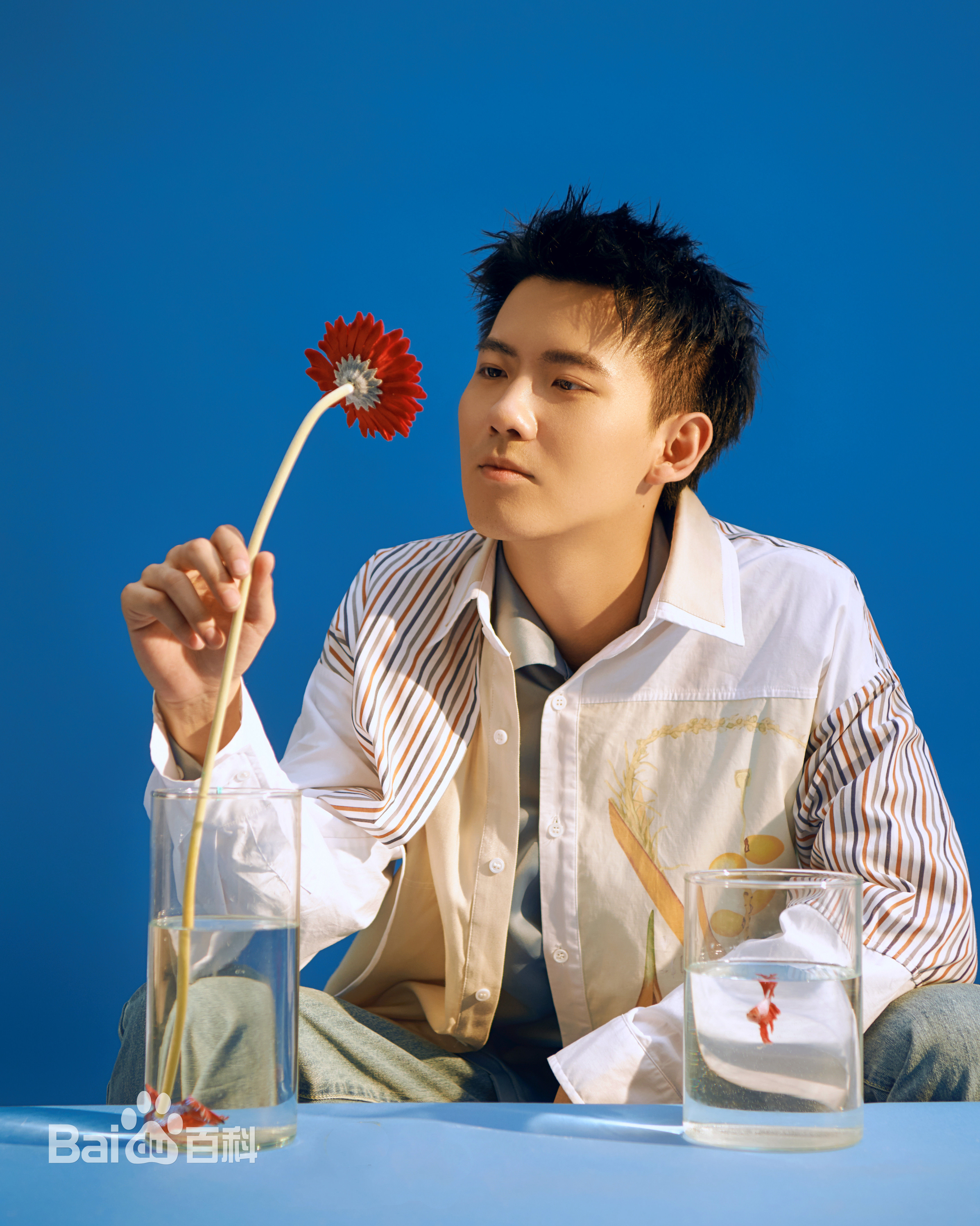 最新赵顺然性感图片