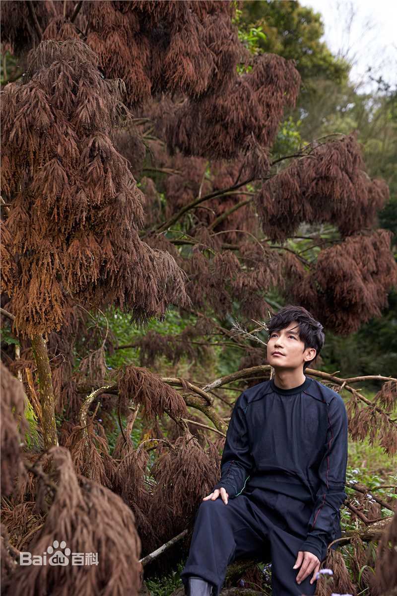 高清陈楚生在《趋光》中的图集