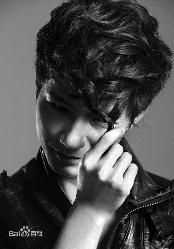 高清陈楚生精彩图册