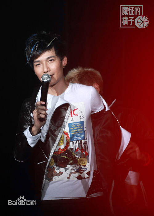 陈楚生2010年值得就去做成都演唱会生活照相册