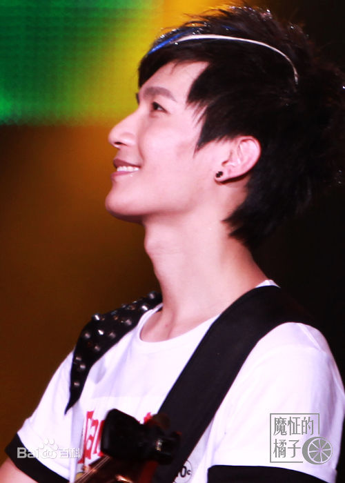 陈楚生2010年值得就去做成都演唱会生活照相册