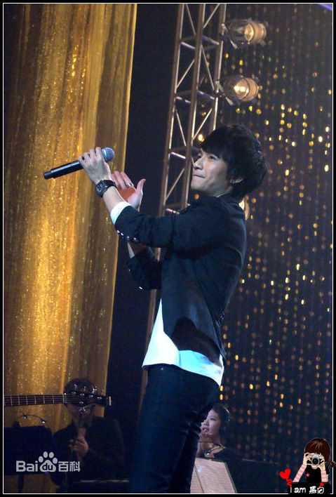 陈楚生2010南京红牛不插电演唱会性感图片图集