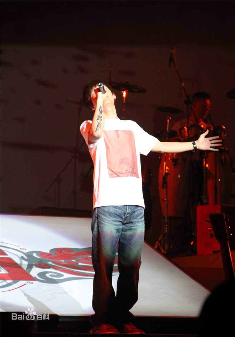 陈楚生2010有型有音乐深圳演唱会前后照片