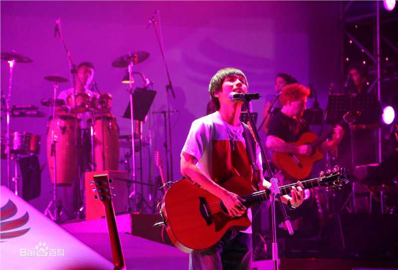 陈楚生2010有型有音乐深圳演唱会前后照片