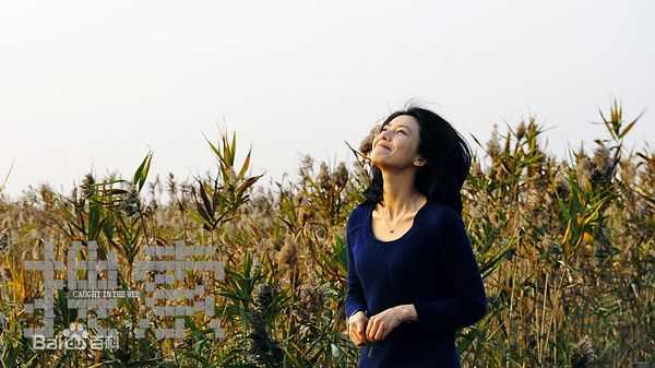 最新高圆圆(Gao Yuanyuan)在电影《搜索》中的图集