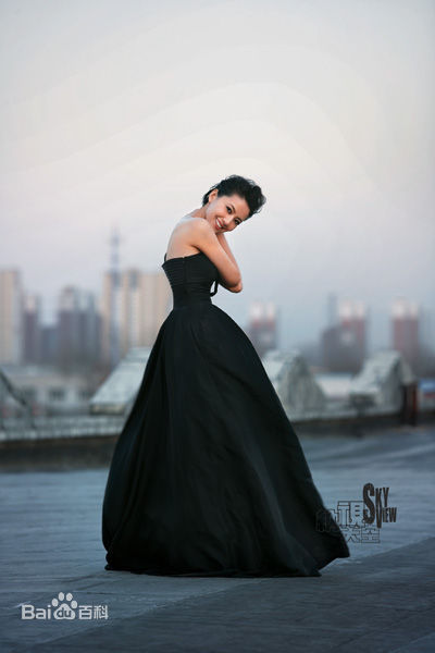 最新高圆圆(Gao Yuanyuan)精彩图册