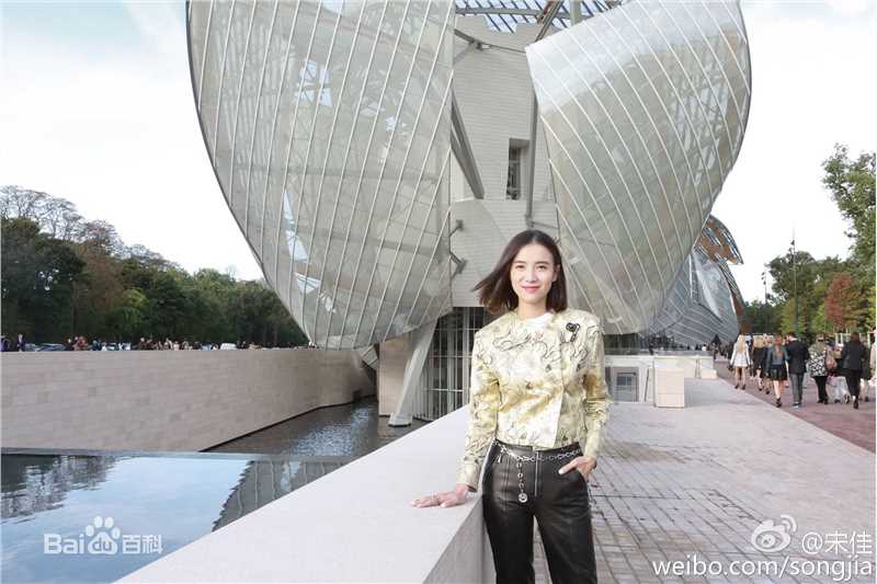 宋佳(Song Jia)街拍-时装周素颜照壁纸