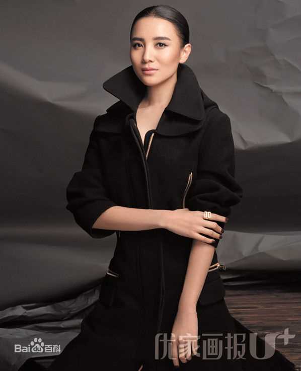 宋佳(Song Jia)优家画报2013年12月刊图片图集