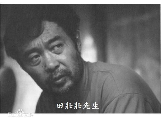 田壮壮(Zhuangzhuang Tian)精彩图册