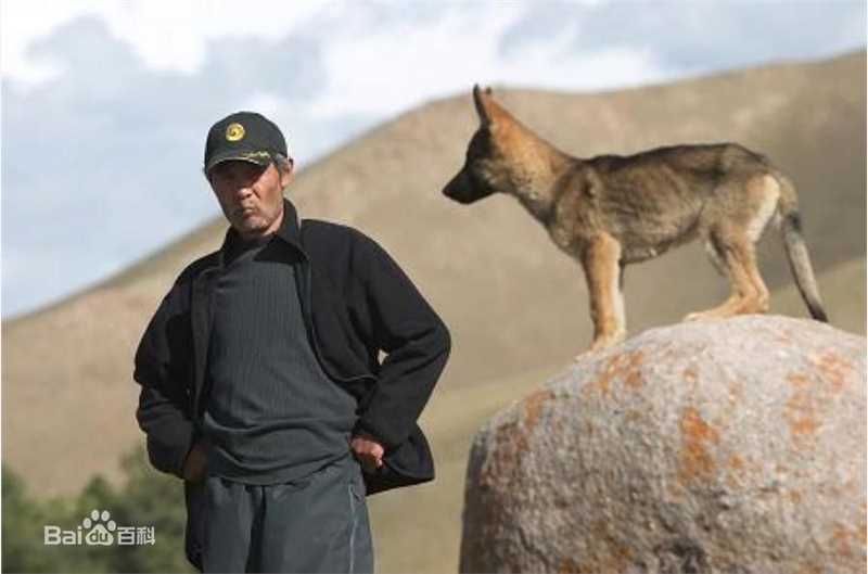 田壮壮(Zhuangzhuang Tian)精彩图册
