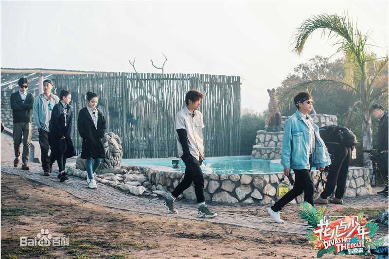 张若昀综艺图片图册