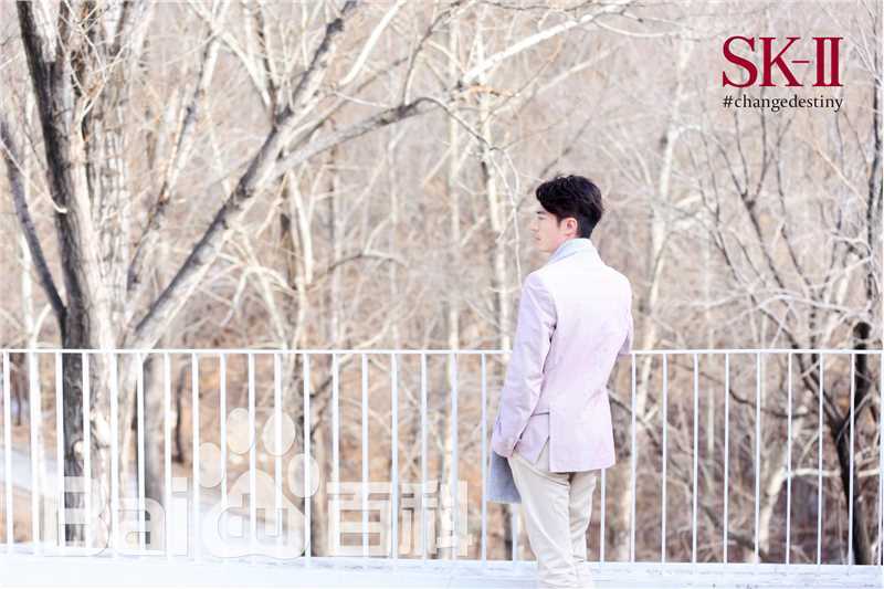 霍建华(Wallace Huo)SK-II中国区品牌大使图册