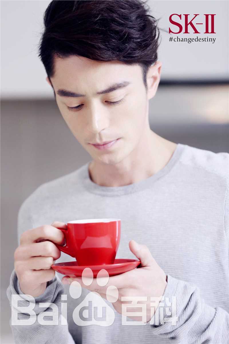 霍建华(Wallace Huo)SK-II中国区品牌大使图册