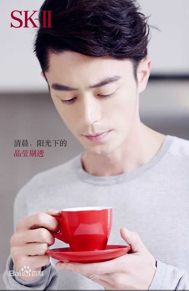 霍建华(Wallace Huo)SK-II中国区品牌大使图册