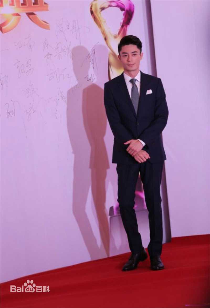 霍建华(Wallace Huo)获奖荣誉图片图册