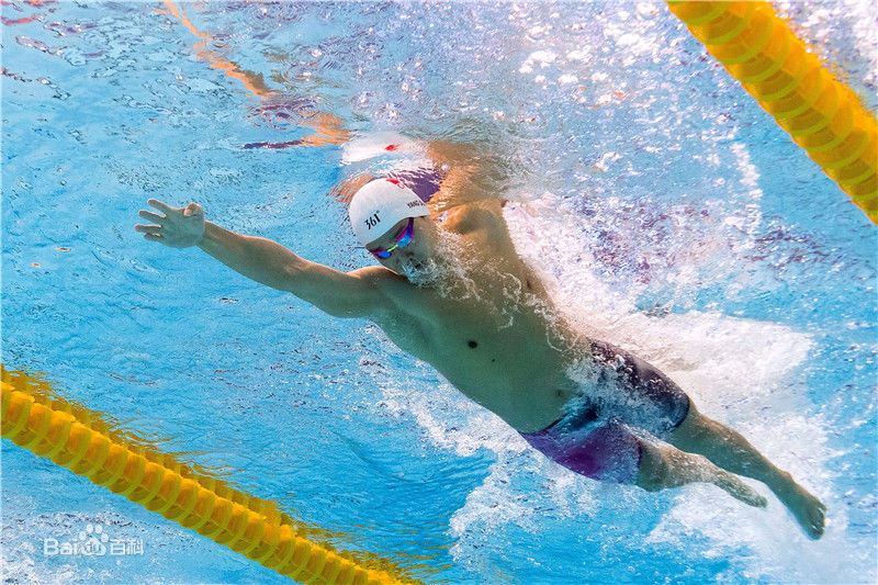孙杨(Sun Yang)泳者图片图册