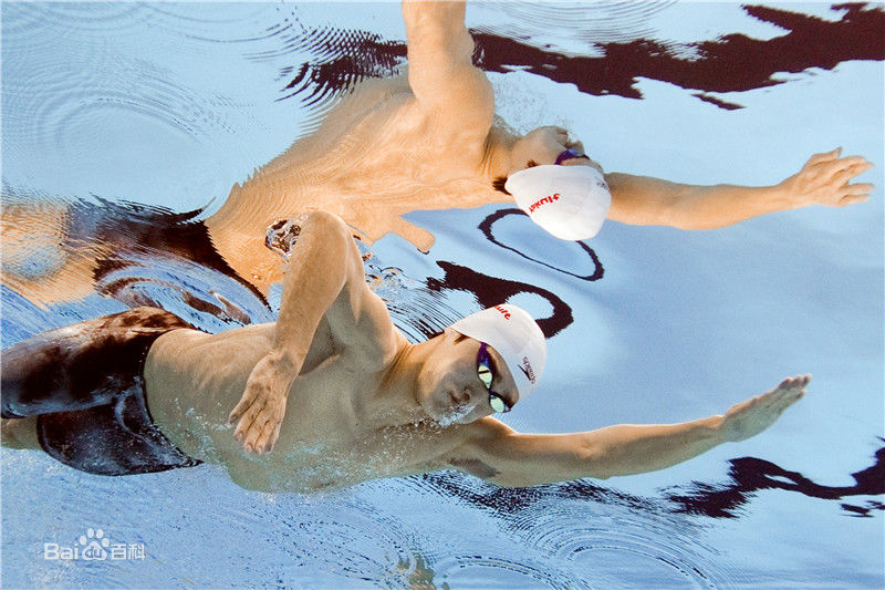 孙杨(Sun Yang)泳者图片图册