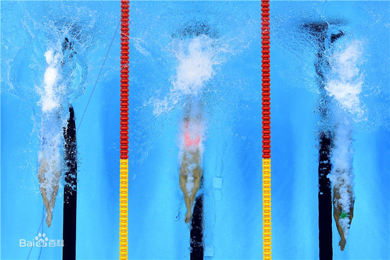 孙杨(Sun Yang)泳者图片图册