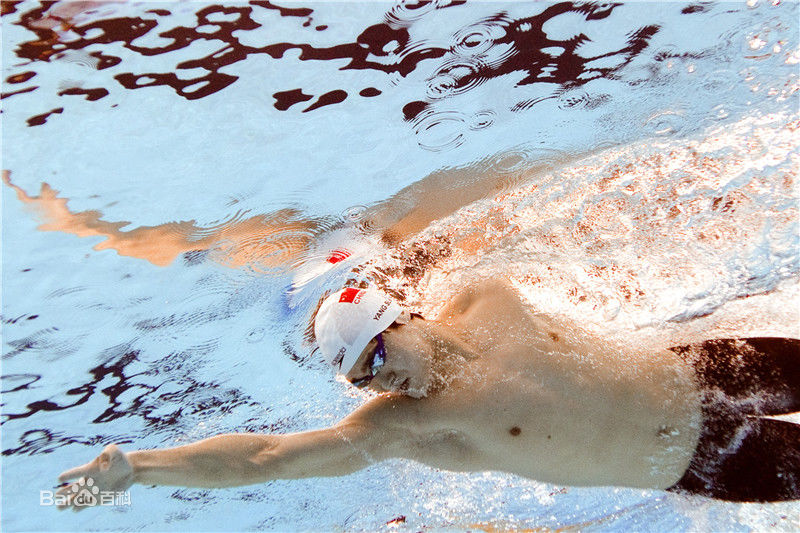 孙杨(Sun Yang)泳者图片图册