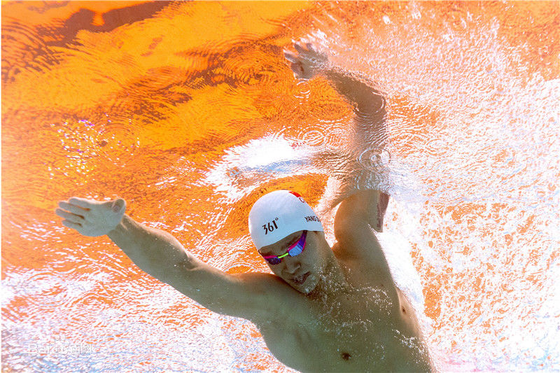 孙杨(Sun Yang)泳者图片图册