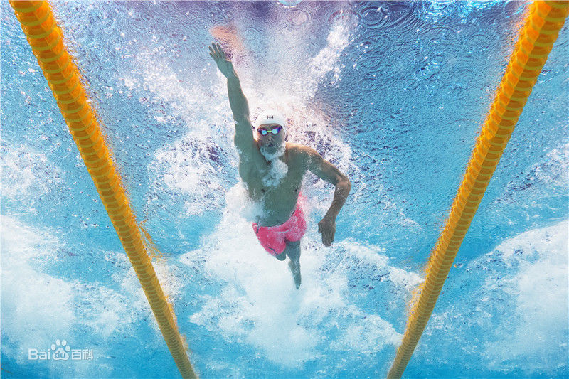 孙杨(Sun Yang)泳者图片图册