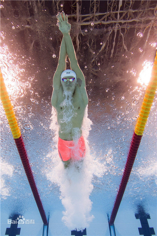 孙杨(Sun Yang)泳者图片图册