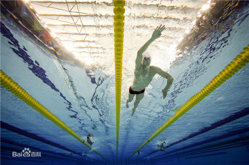 孙杨(Sun Yang)泳者图片图册