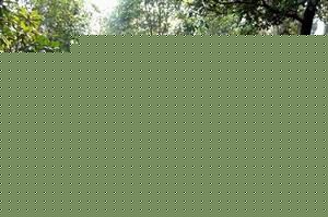 向梅电视剧老人的故事图册