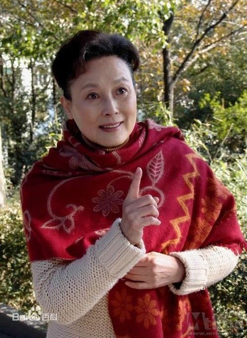 向梅电视剧老人的故事图册