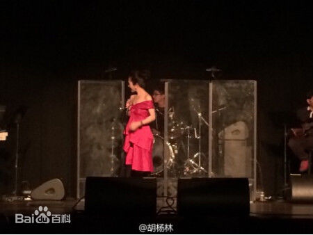胡杨林(Joy Hu)演出及活动前后照片