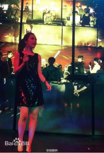胡杨林(Joy Hu)演出及活动前后照片