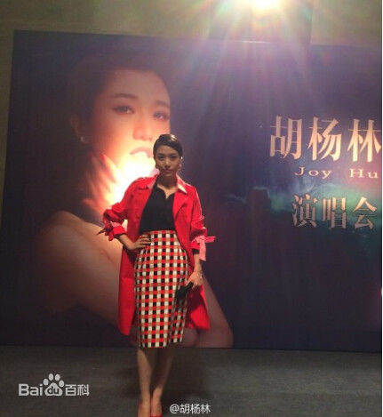 胡杨林(Joy Hu)演出及活动前后照片