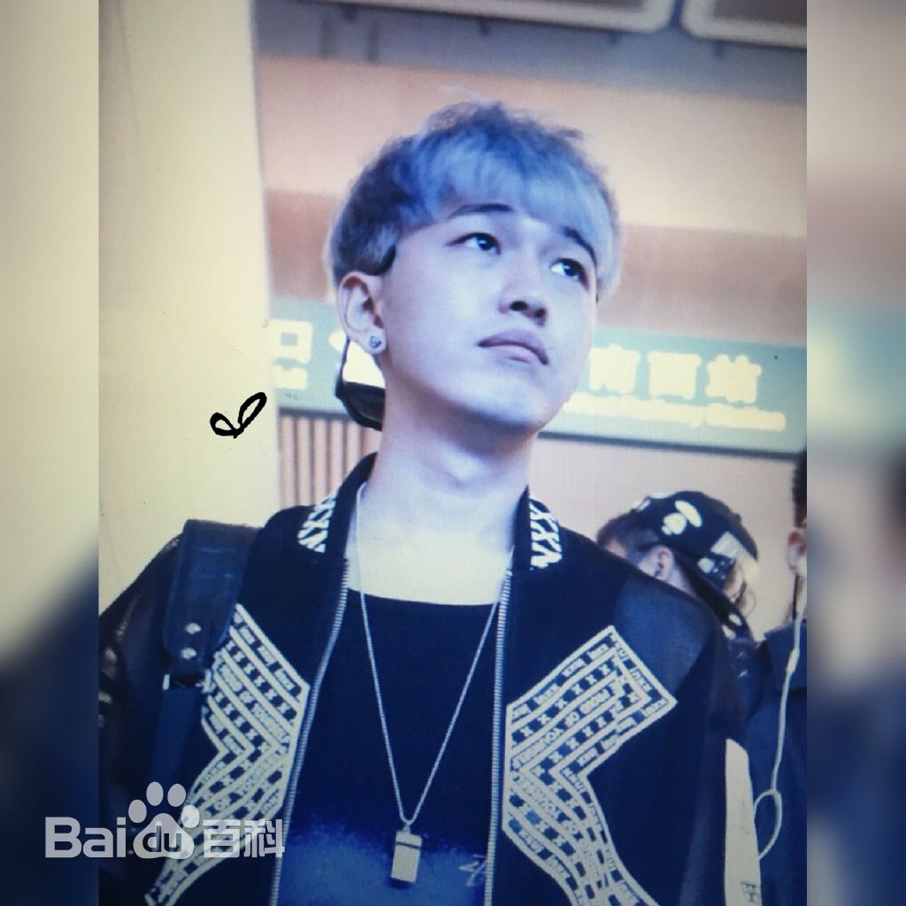 孔垂楠(Korn)机场图前后照片