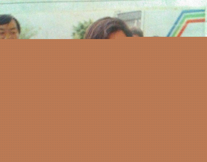 邓丽君(Teresa Teng、テレサ·テン)生活照壁纸壁纸