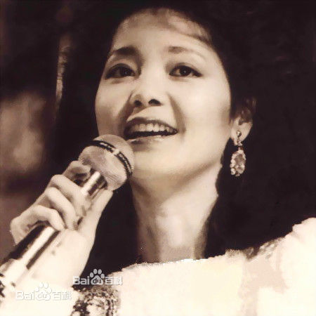 邓丽君(Teresa Teng、テレサ·テン)舞台照图册