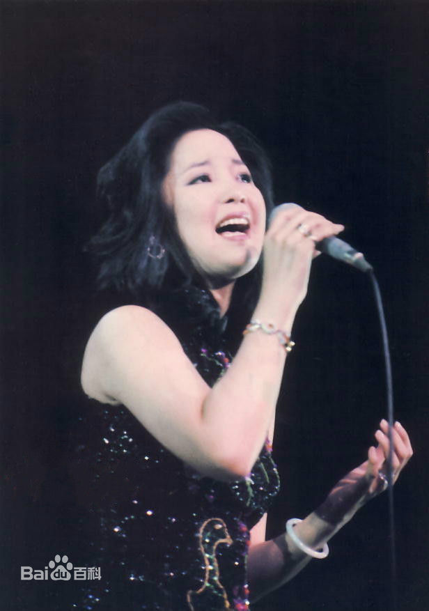 邓丽君(Teresa Teng、テレサ·テン)舞台照图册