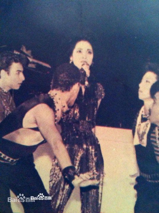 邓丽君(Teresa Teng、テレサ·テン)舞台照图册