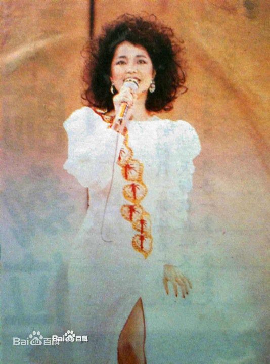 邓丽君(Teresa Teng、テレサ·テン)舞台照图册