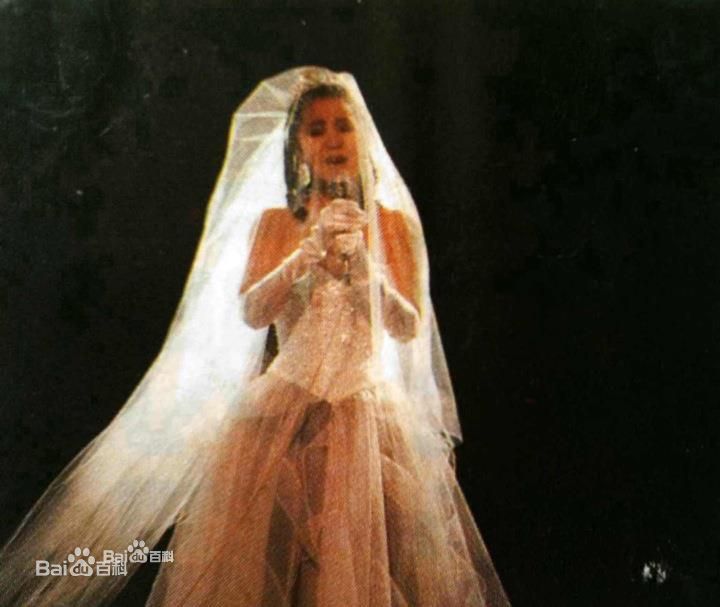 邓丽君(Teresa Teng、テレサ·テン)舞台照图册